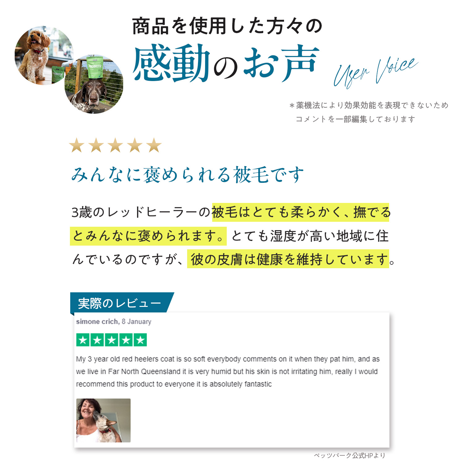 犬用スキン+コート（皮膚・被毛ケア）