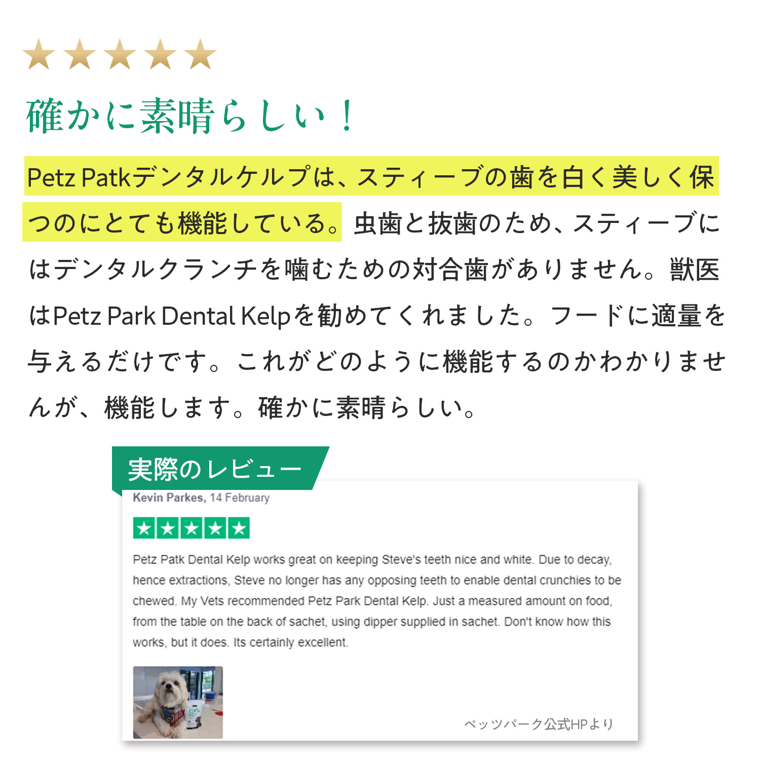 犬用デンタルケルプ