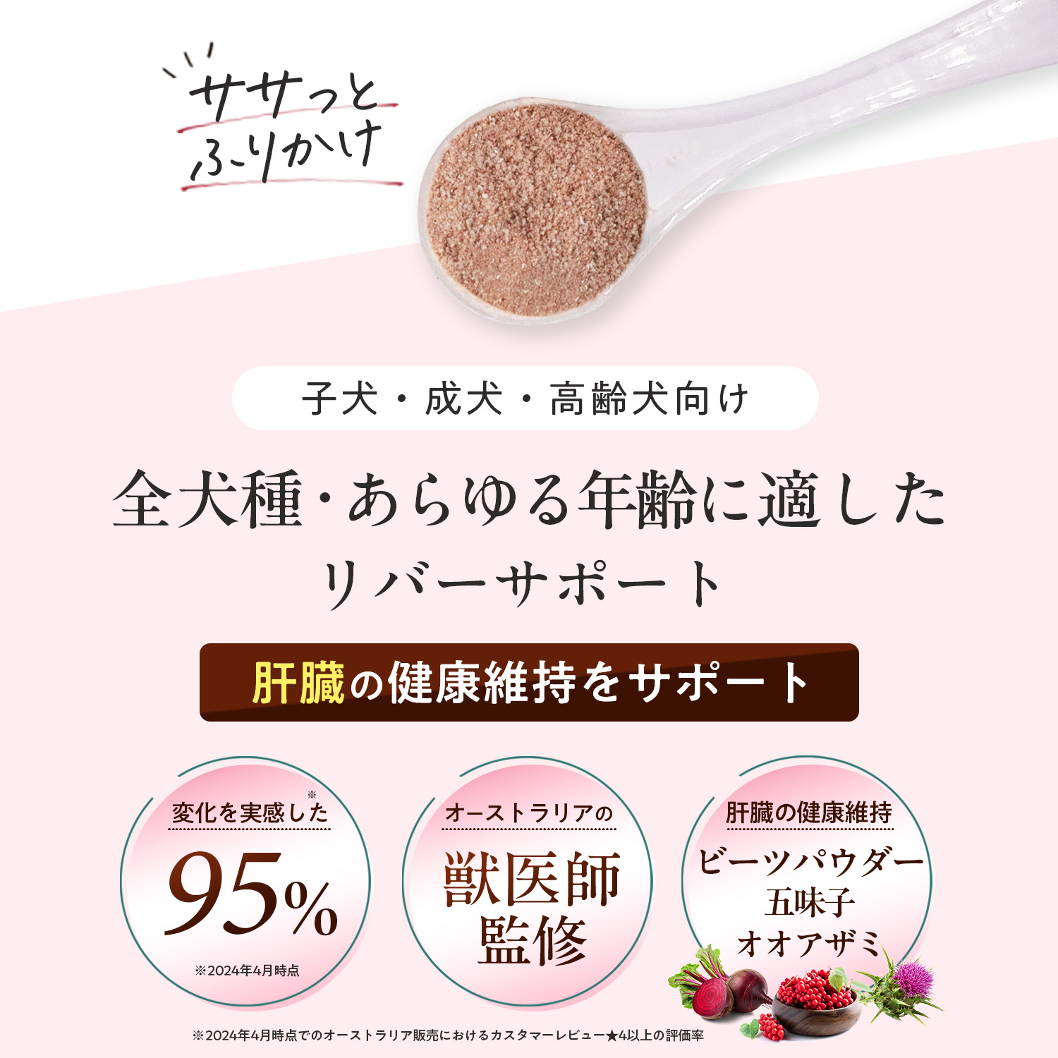 犬用リバーサポート（肝臓ケア）
