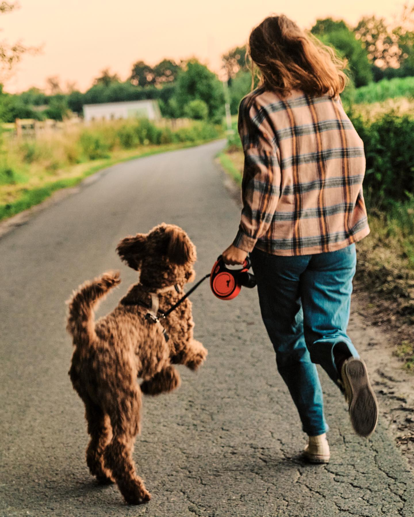 フレキシで愛犬と散歩を楽しむ飼い主の後ろ姿