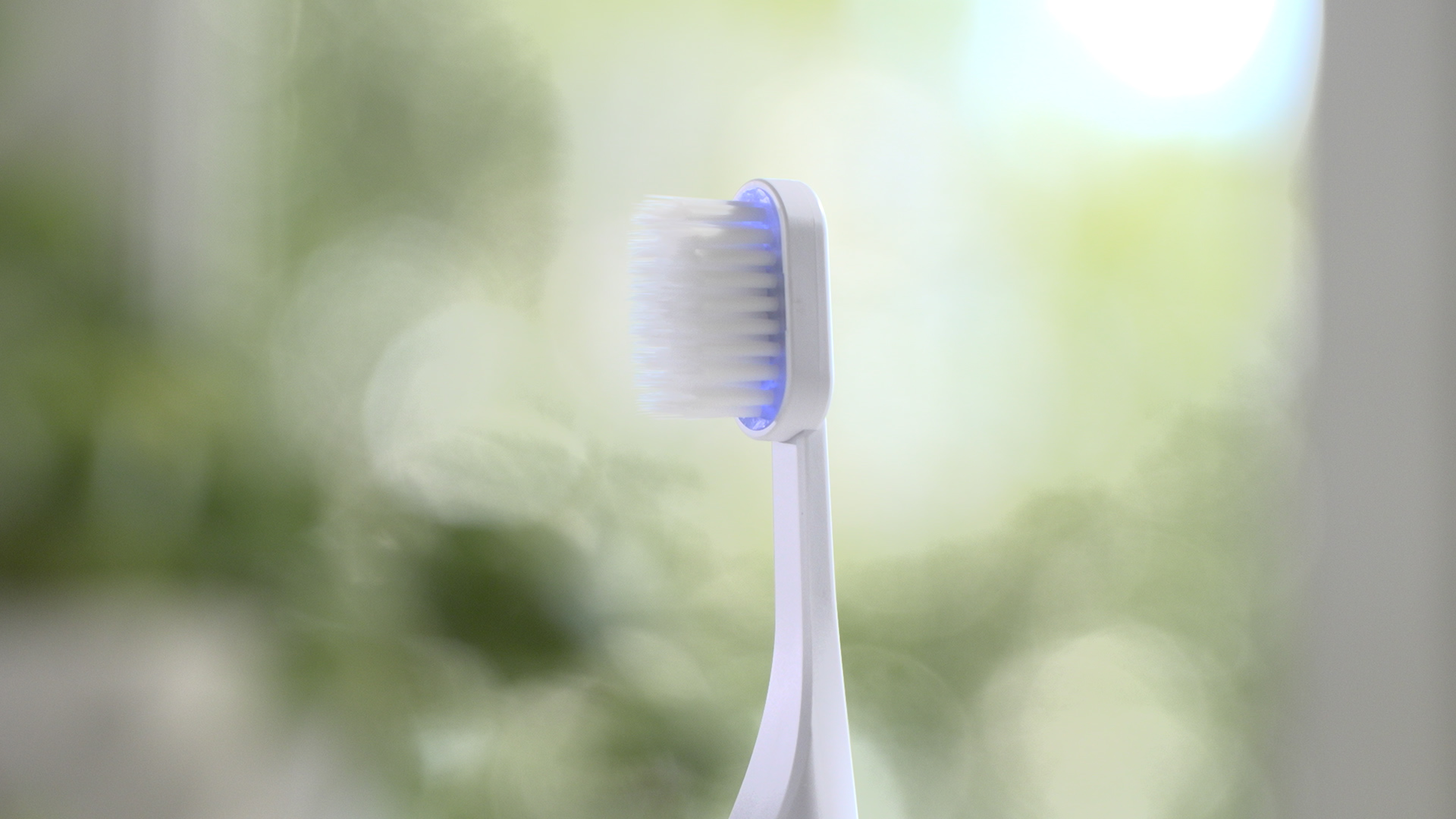 【プラクレス交換用ブラシヘッド2本】＜通常価格＞3,980円（税込4,378円）