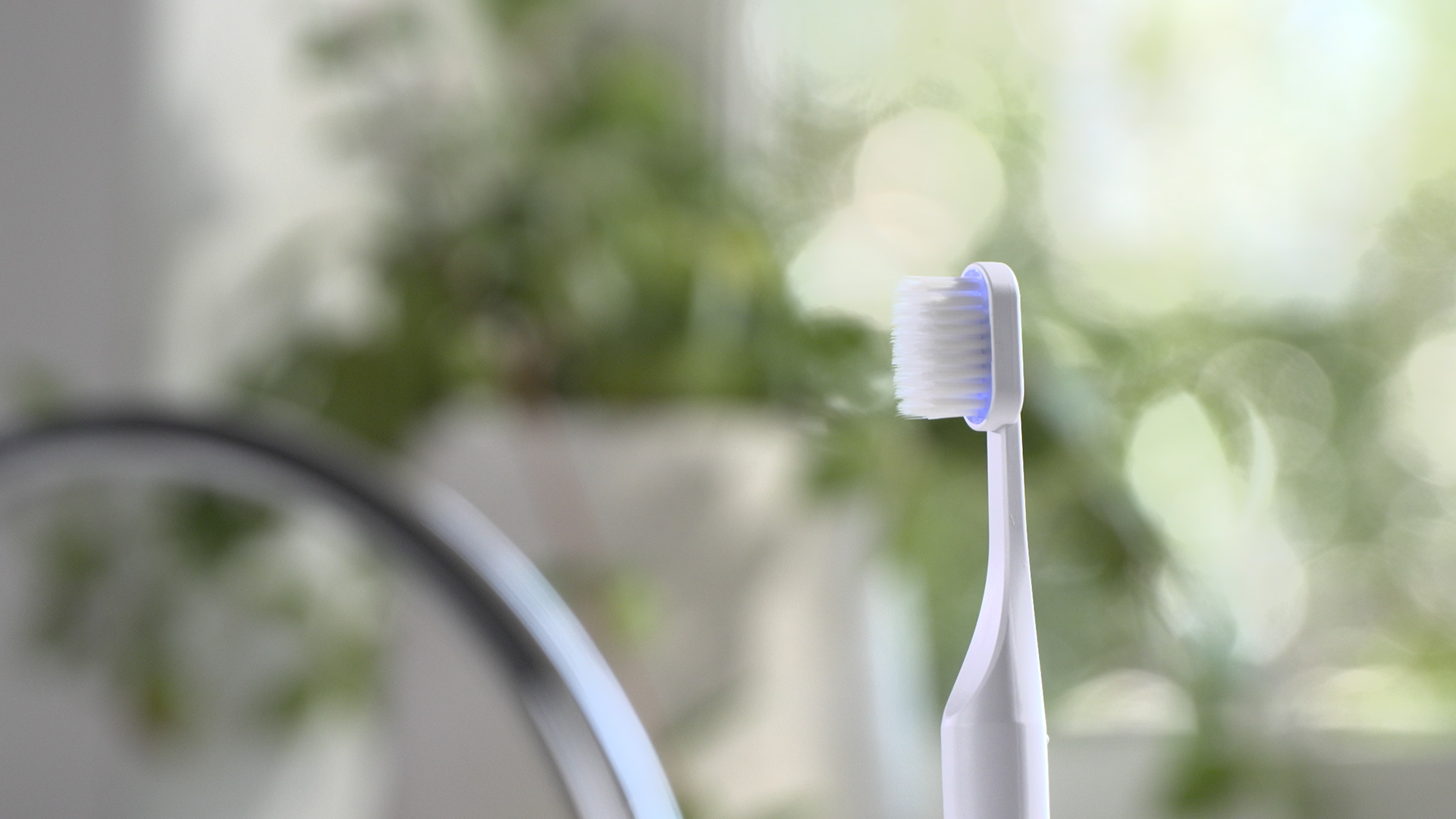 【プラクレス交換用ブラシヘッド4本（1箱2本入）】＜特別価格＞7,800円（税込）