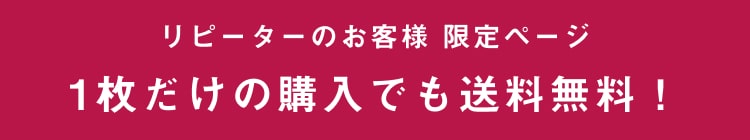 その他リピーター用