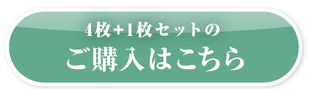 4枚+1枚セットで今すぐ申し込む