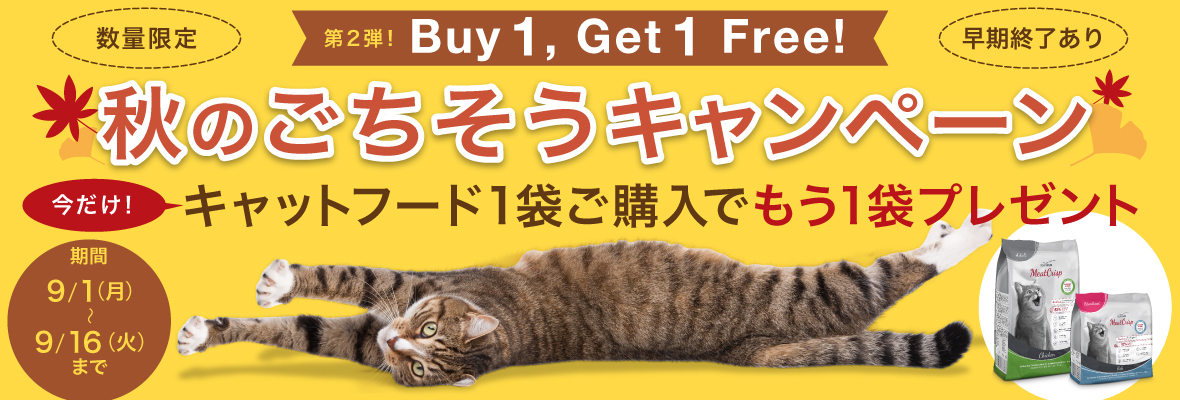 PLATINUMのキャットフードをたっぷりストックできる期間限定キャンペーン