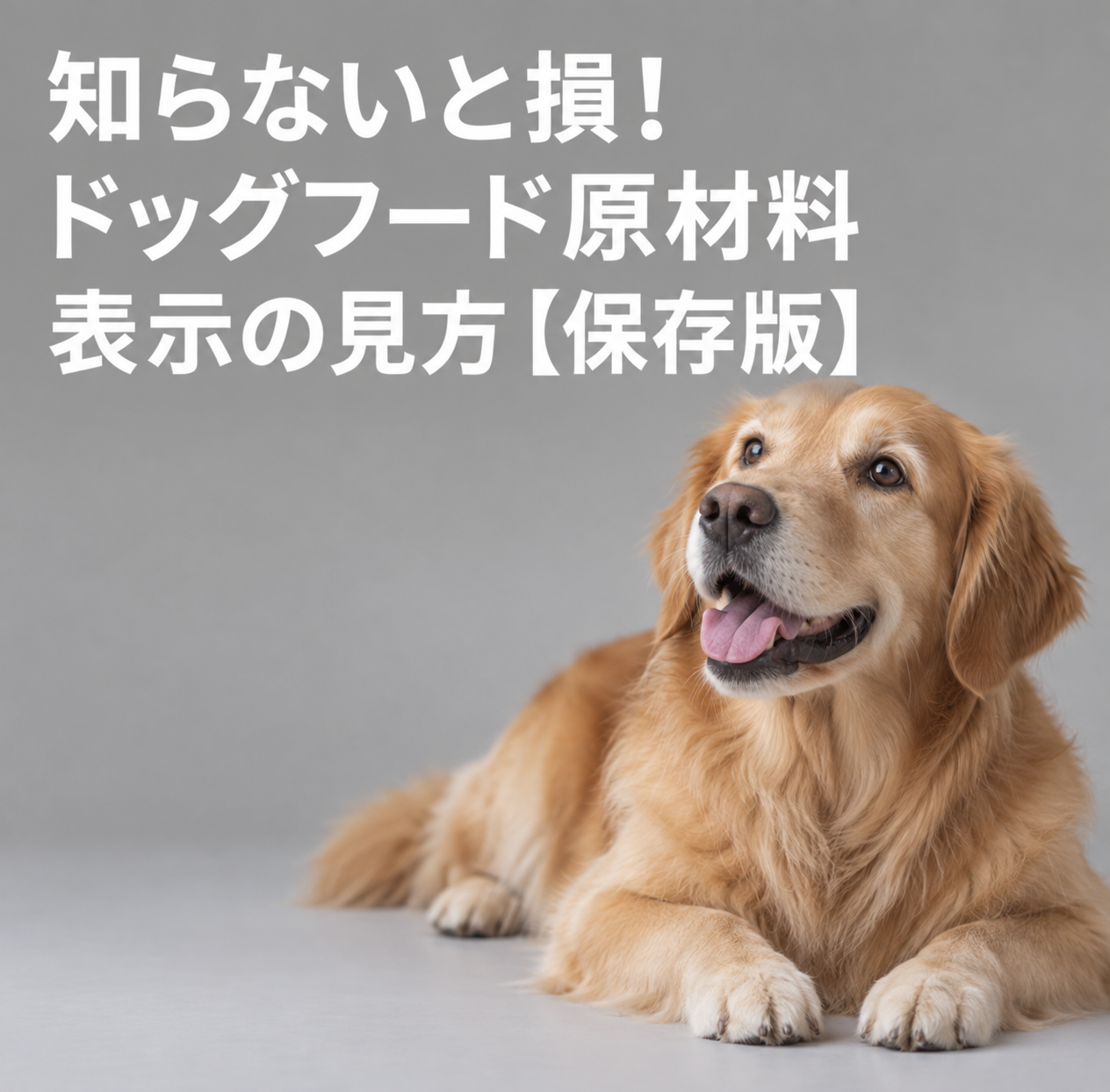 ドッグフードの原材料表示の読み方【保存版】生肉・肉粉・%の正しい見方