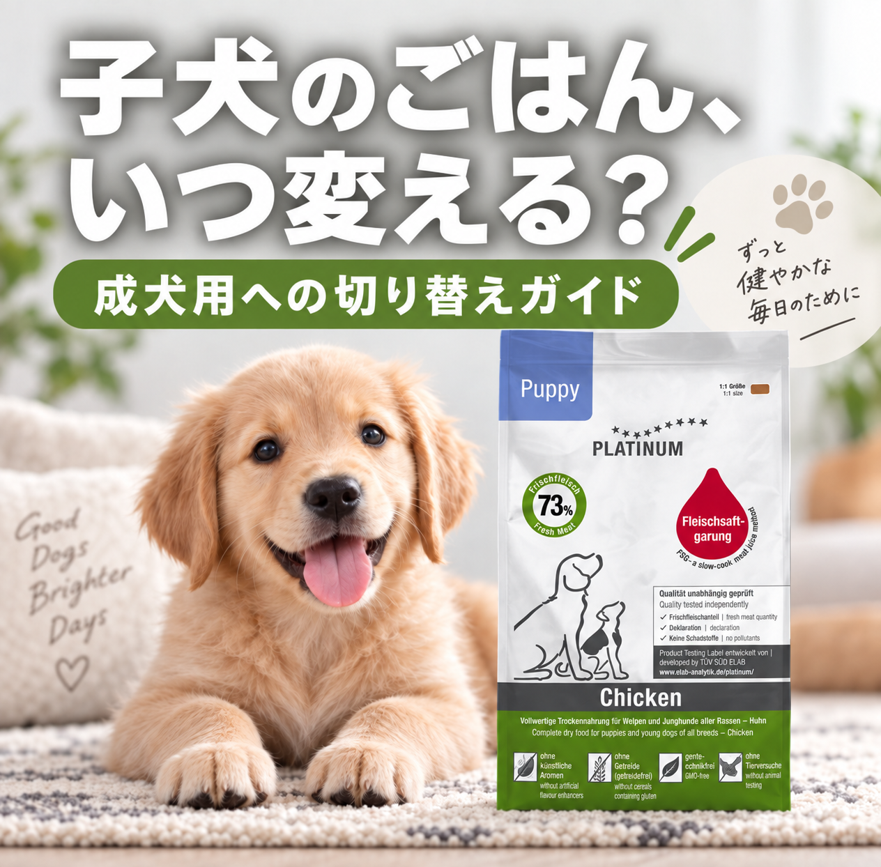 子犬のドッグフードはいつ切り替える？パピーフードから成犬用への移行ガイド保存版