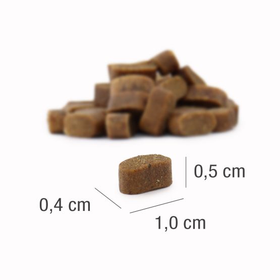プラチナム ラム 小粒 小型犬/成犬用（グルテンフリー）  重量: 900g x 1袋（税込3,124円）
