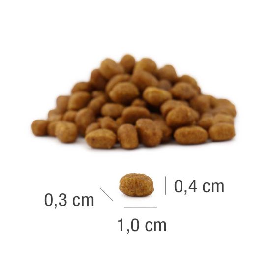 キャットフード 幼猫・子猫 チキン 重量: 3kg x 1袋（税込9,270円）