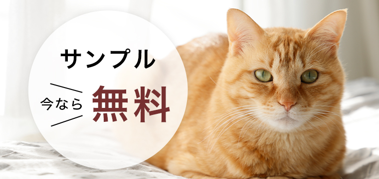 100日返金保証制度