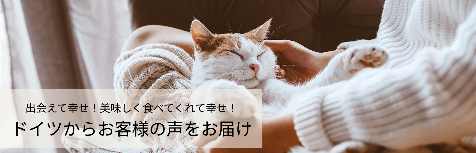 ドイツのお客様の声