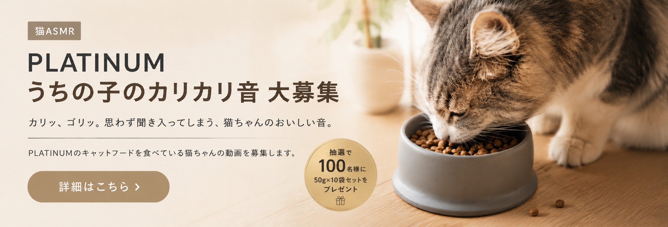 PLATINUMを食べている猫ちゃんの「おいしい音」や、かわいいごはん時間の動画を募集します。