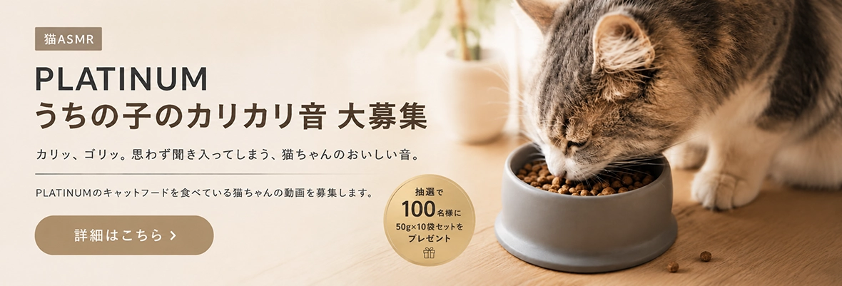 PLATINUMを食べている猫ちゃんの「おいしい音」や、かわいいごはん時間の動画を募集します。