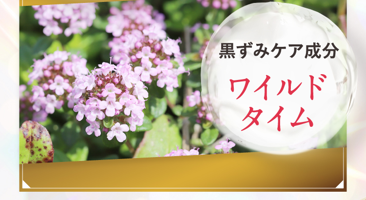 ワイルドタイム