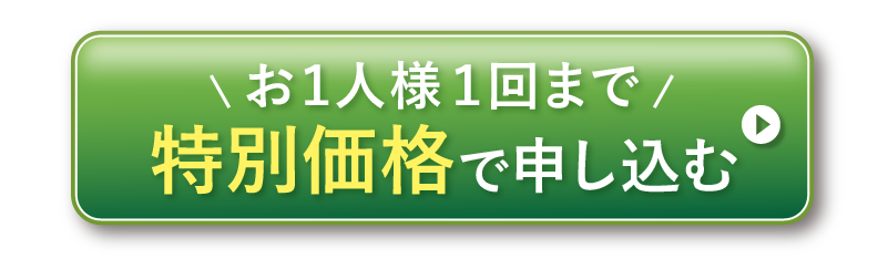 お1人様1点限り特別価格で申し込む