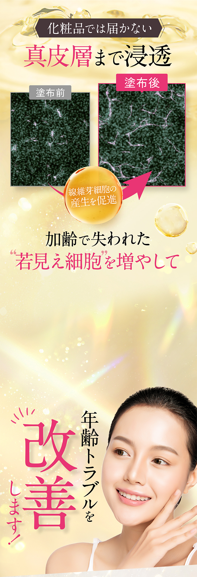 化粧品では届かない真皮層まで浸透