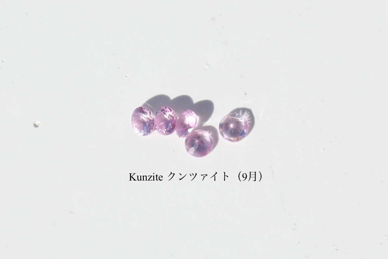 オーム リザーピアス　プリュイ　PLUIE ピアス - PLUIE：プリュイ / ユエリーニュ 『公式』web