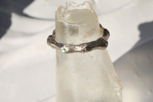 (オーダー) DESERT カスタムリング