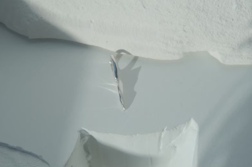 ネイムド チャーム