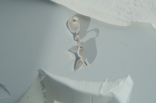 ネイムド チャーム