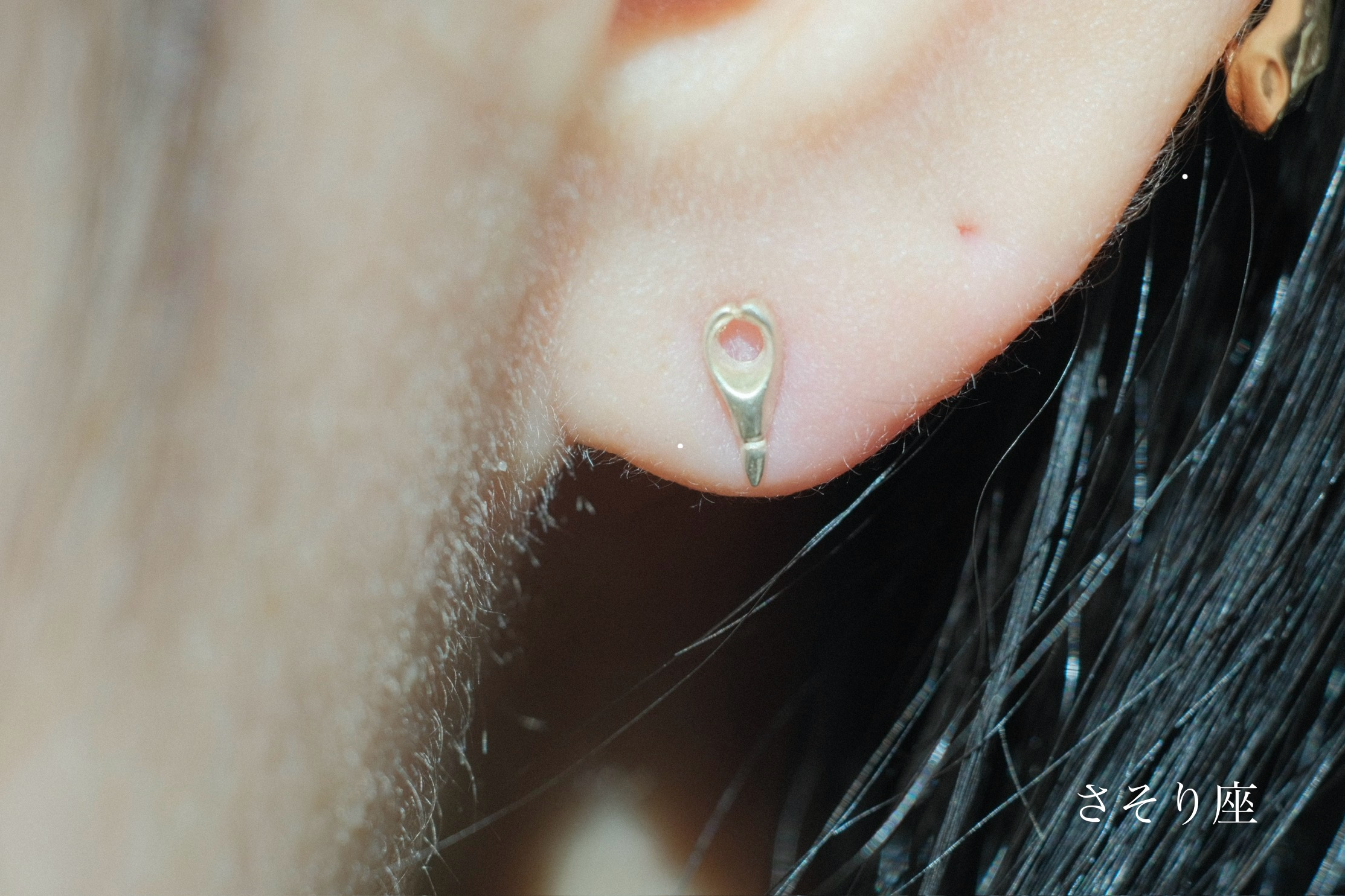 ゾディアック ピアス - PLUIE：プリュイ / ユエリーニュ 『公式』web