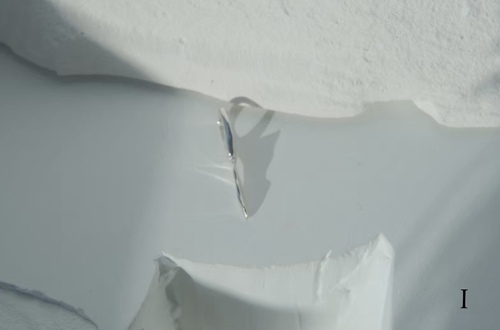 ネイムド チャーム