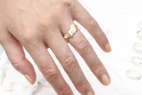 (オーダー) DEBRIS MS カスタムリング