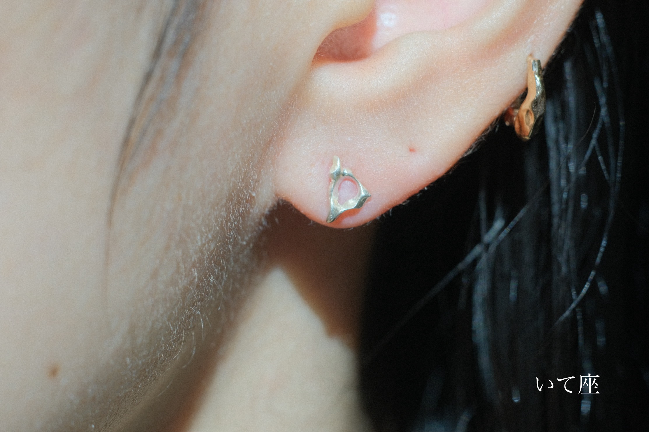 ゾディアック ピアス - PLUIE：プリュイ / ユエリーニュ 『公式』web