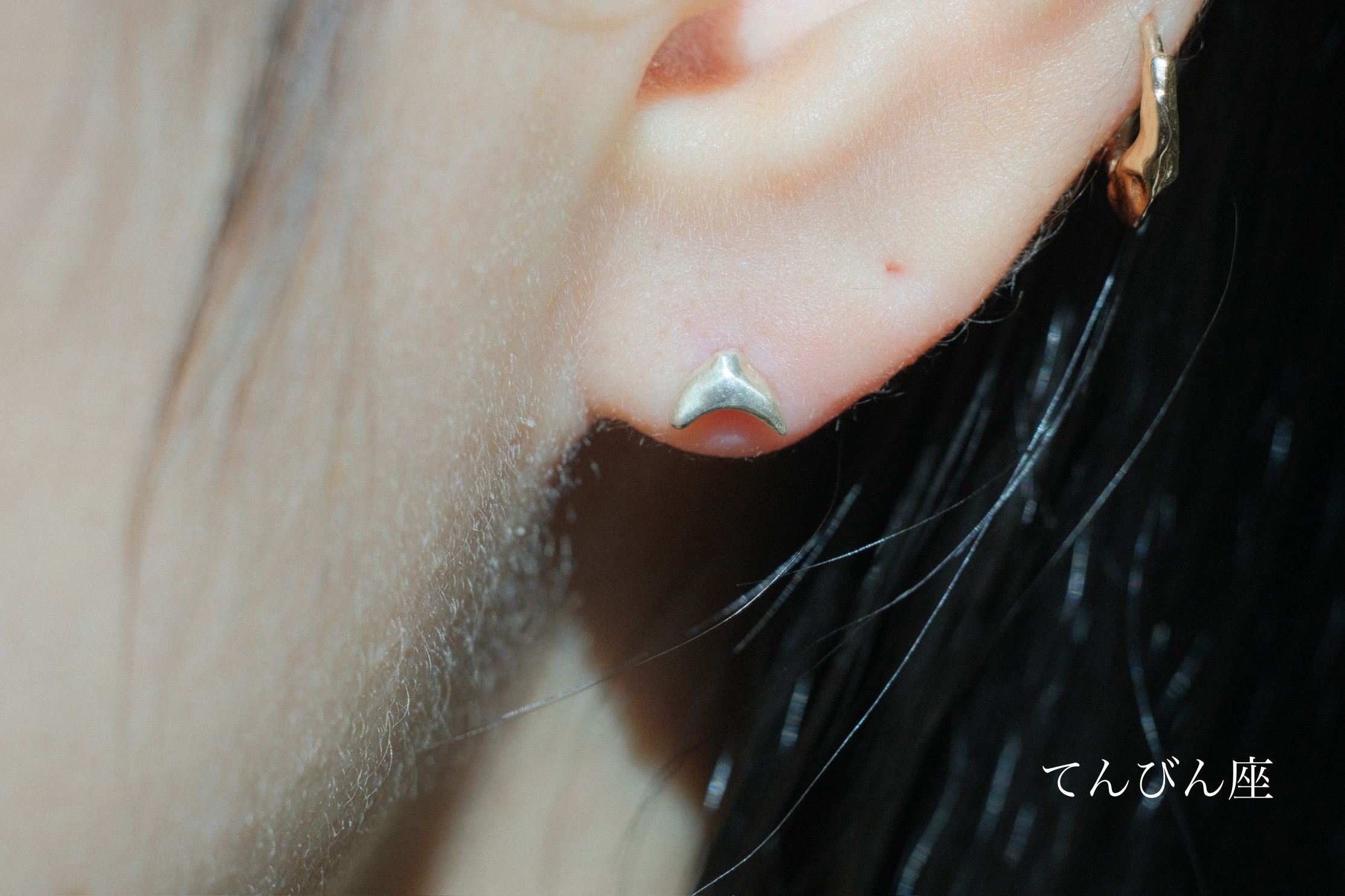 PLUIE プリュイ シークseekピアス 1点物 PLUIE プリュイ シークseekピアス 1点物 PLUIE 一点物 シーク seek ピアス