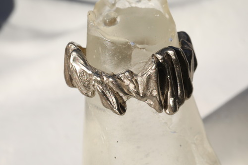 (オーダー) DEBRIS MS カスタムリング