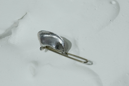 シー  クリップ