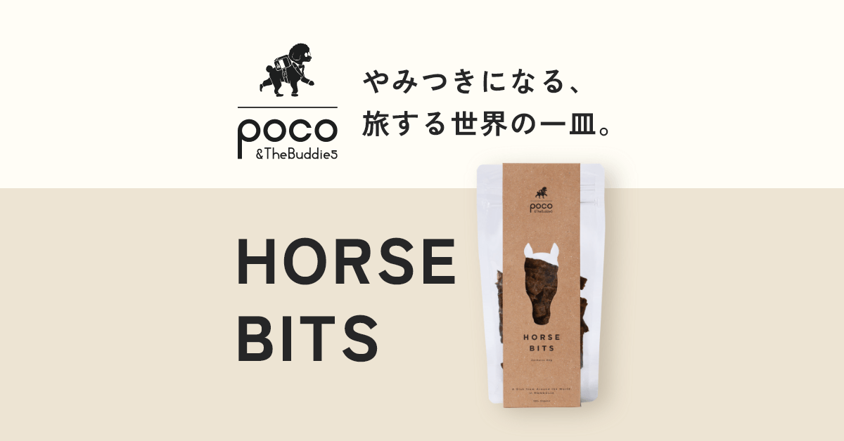 特定商取引法に基づく表記 | POCO & The Buddies