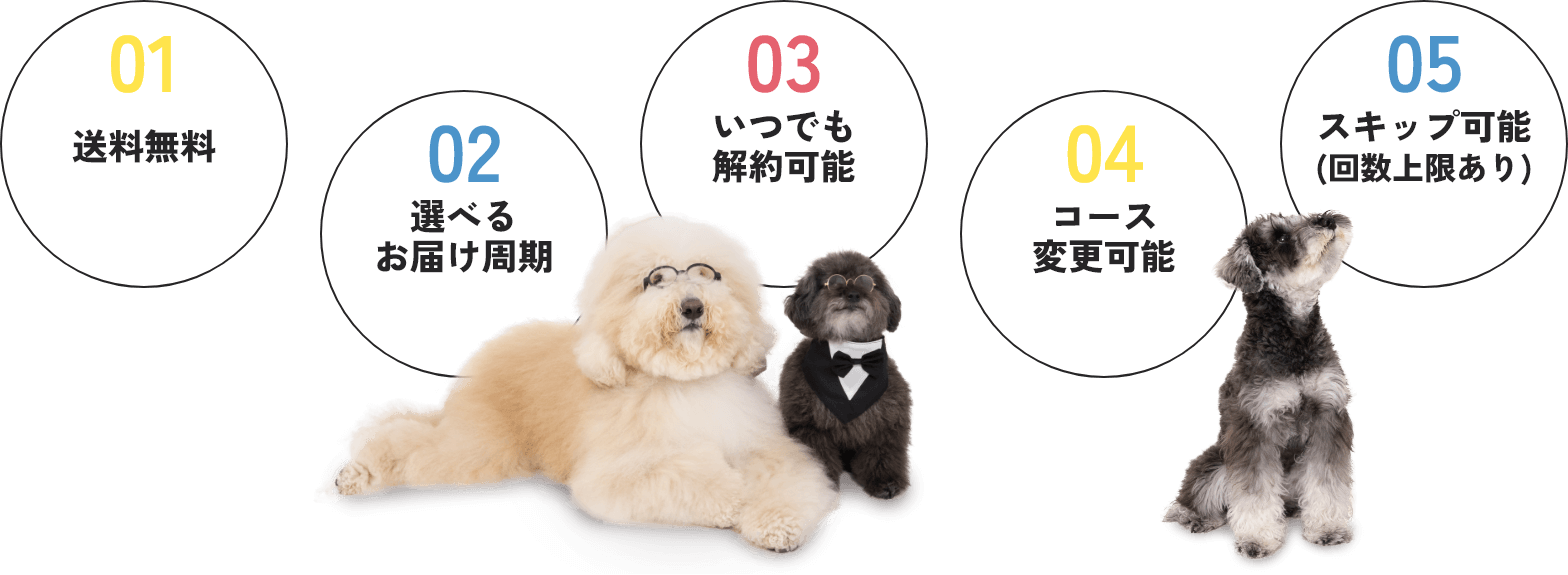 01：送料無料、02：選べるお届け周期、03：いつでも解約可能、04：コース変更可能、05：スキップ可能（回数上限あり）