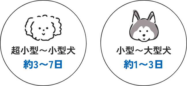 超小型～小型犬：約3～7日、小型～大型犬：約1～3日