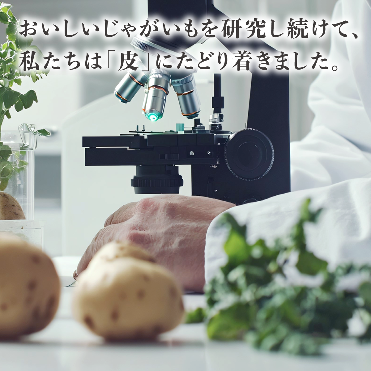 PoteCera（ポテセラ）【30日分×1袋】