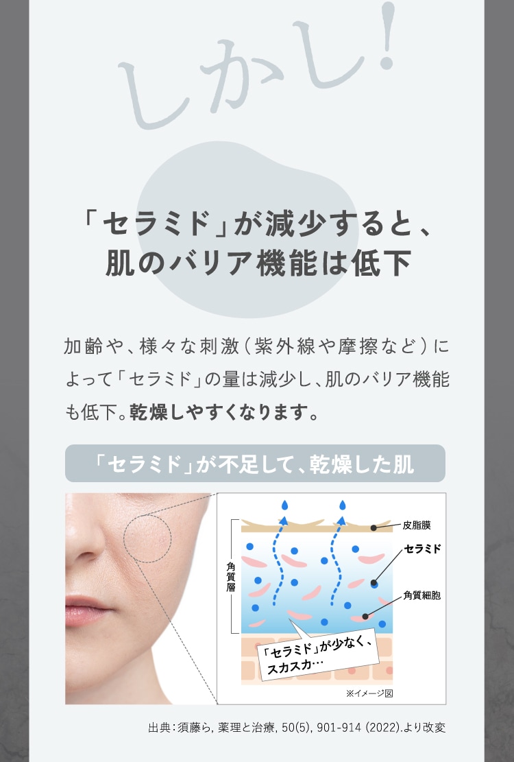「セラミド」が減少すると、肌のバリア機能は低下