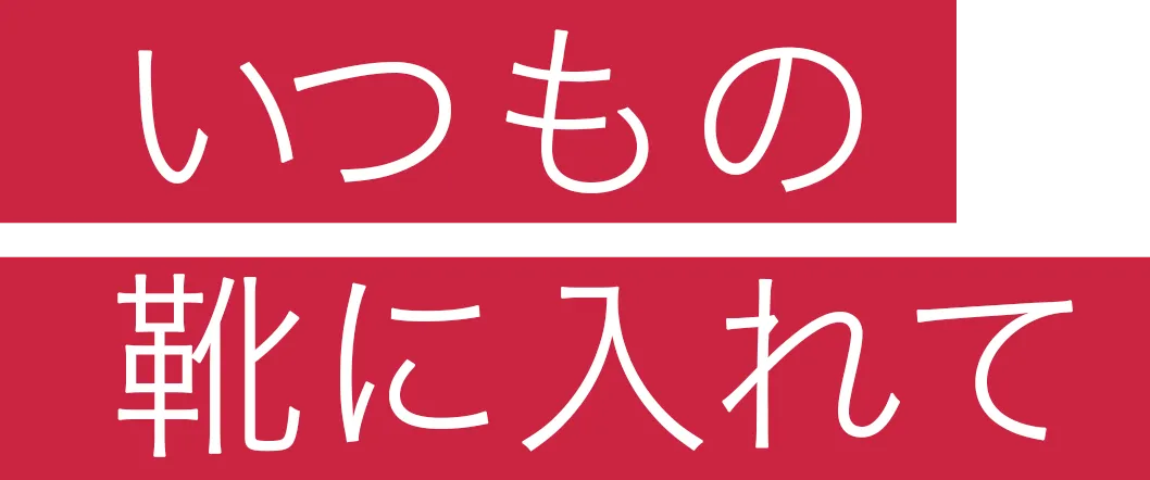 いつもの靴に入れて