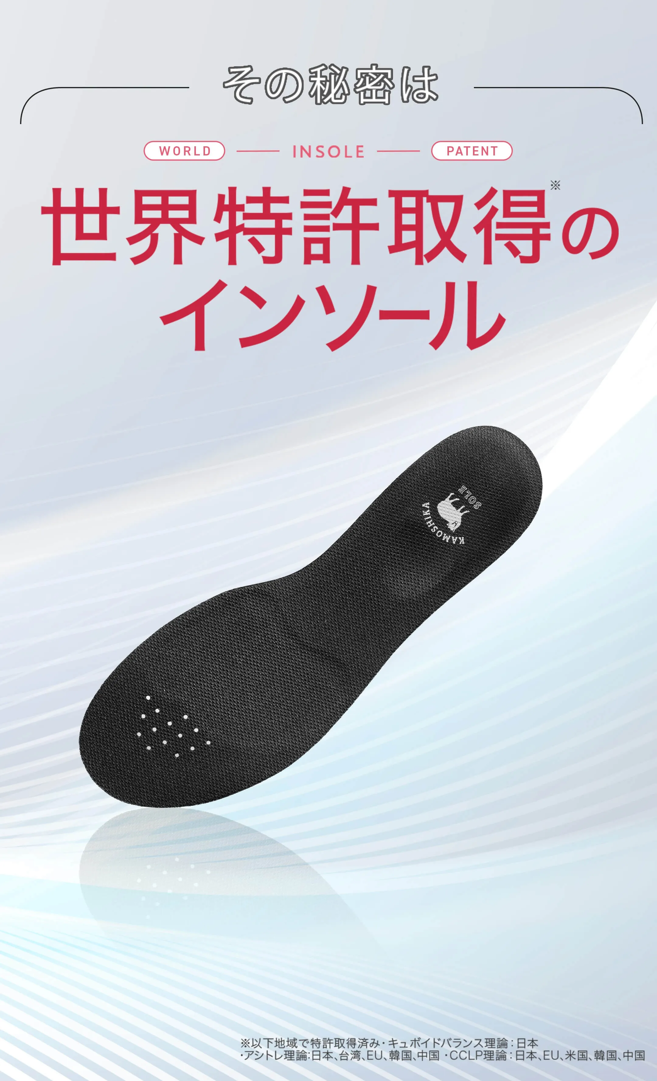 世界特許のインソール