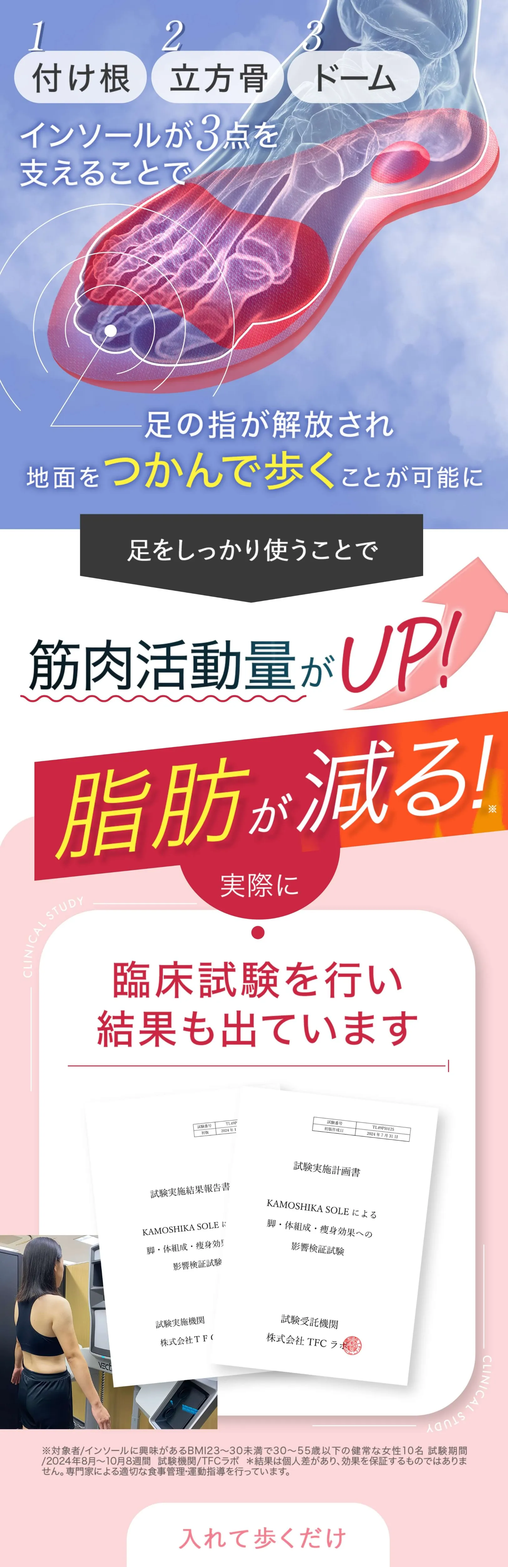 脂肪が減る