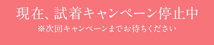 プリンセススリムメジャー特典