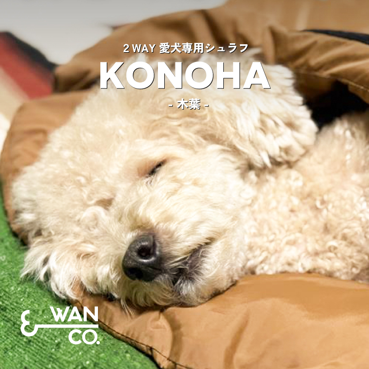 KONOHA（Wan＆Co.） 色柄・サイズ: ベージュ