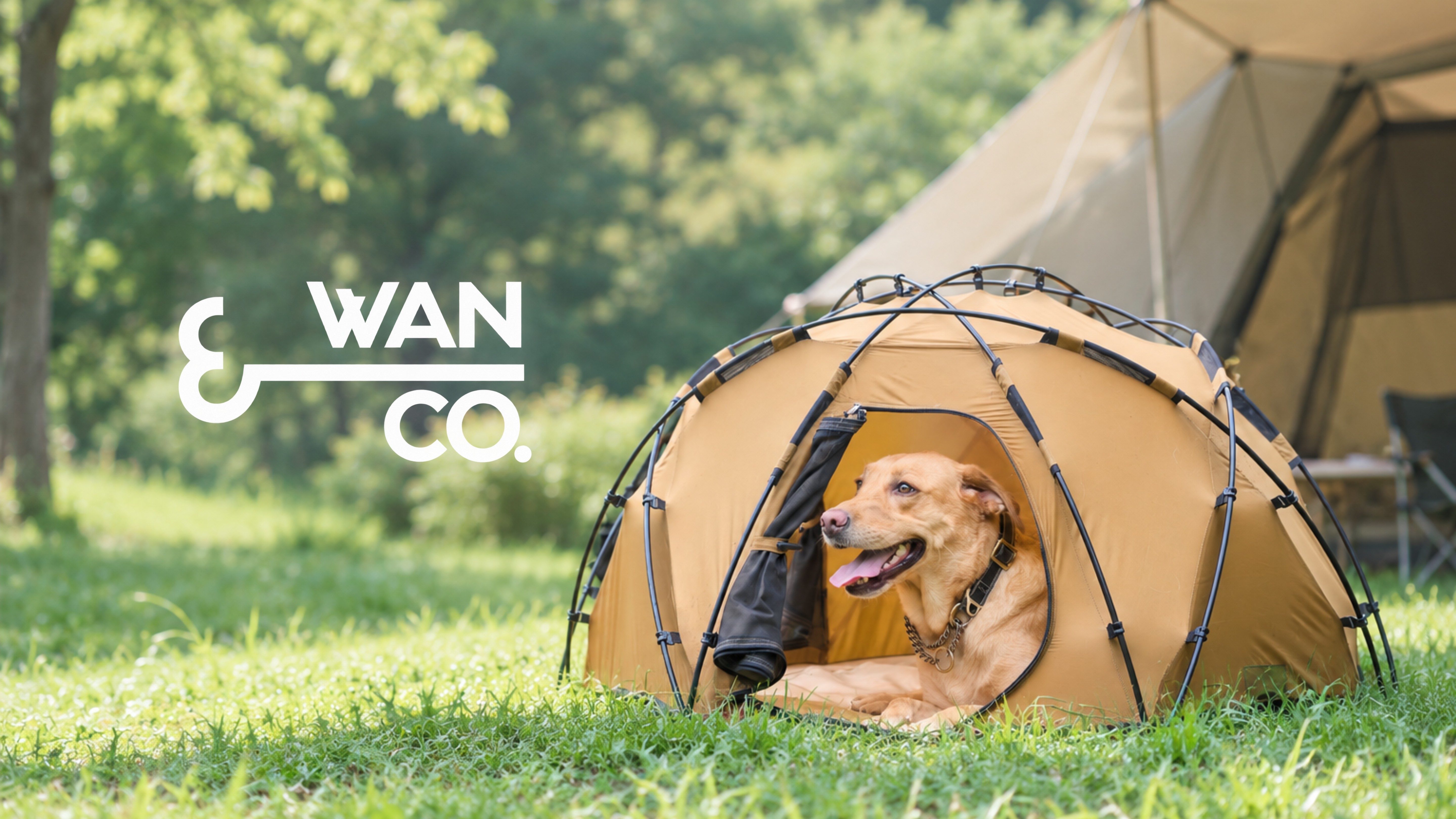 Wan&Co.