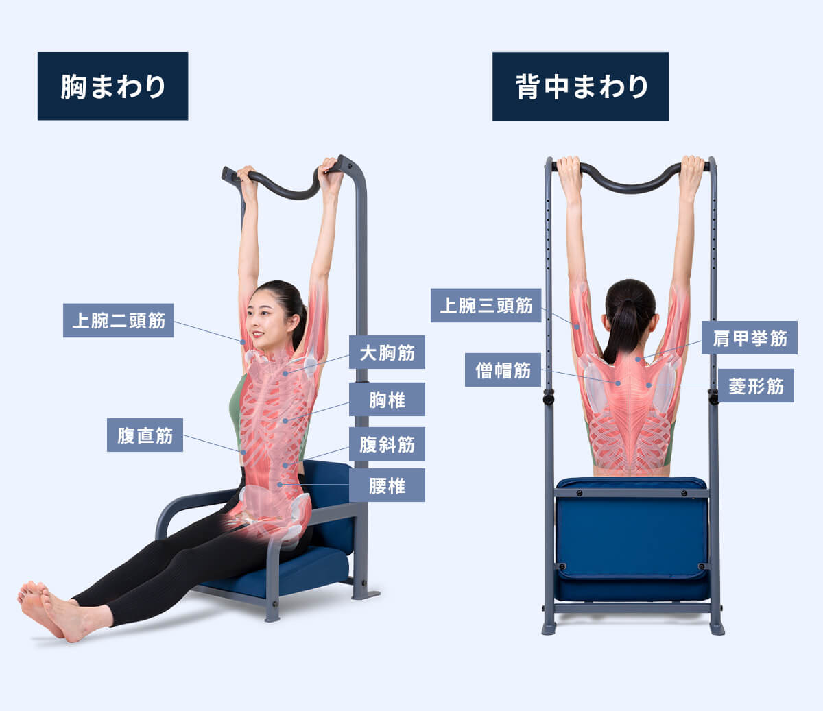 肩まわり・背中まわりのストレッチ