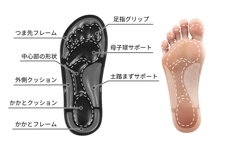 punippaを横から見た厚み・構造写真