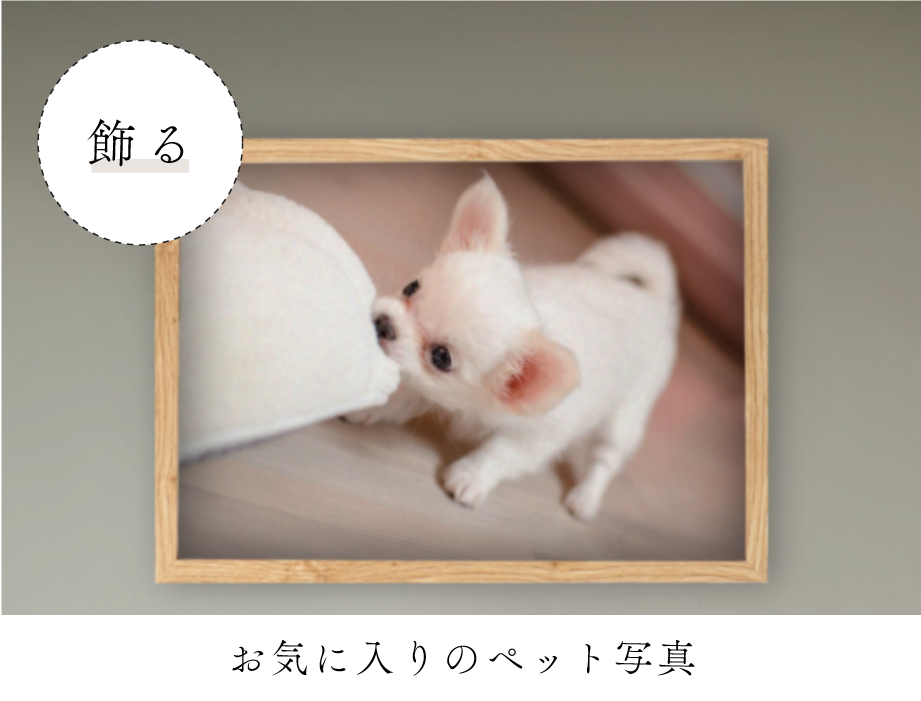 ペットの写真を飾る