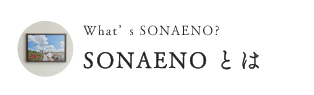 SONAENOとは