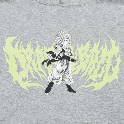 【新品未開封】ドラゴンボール　パーカー(メインビジュアル) Lサイズ　ダイマツリ ドラゴンボールDAIMA】パーカー(メインビジュアル): アパレル