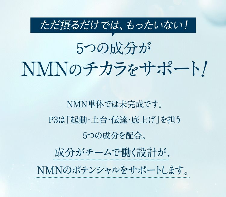 ４つの成分がNMNのチカラをサポート