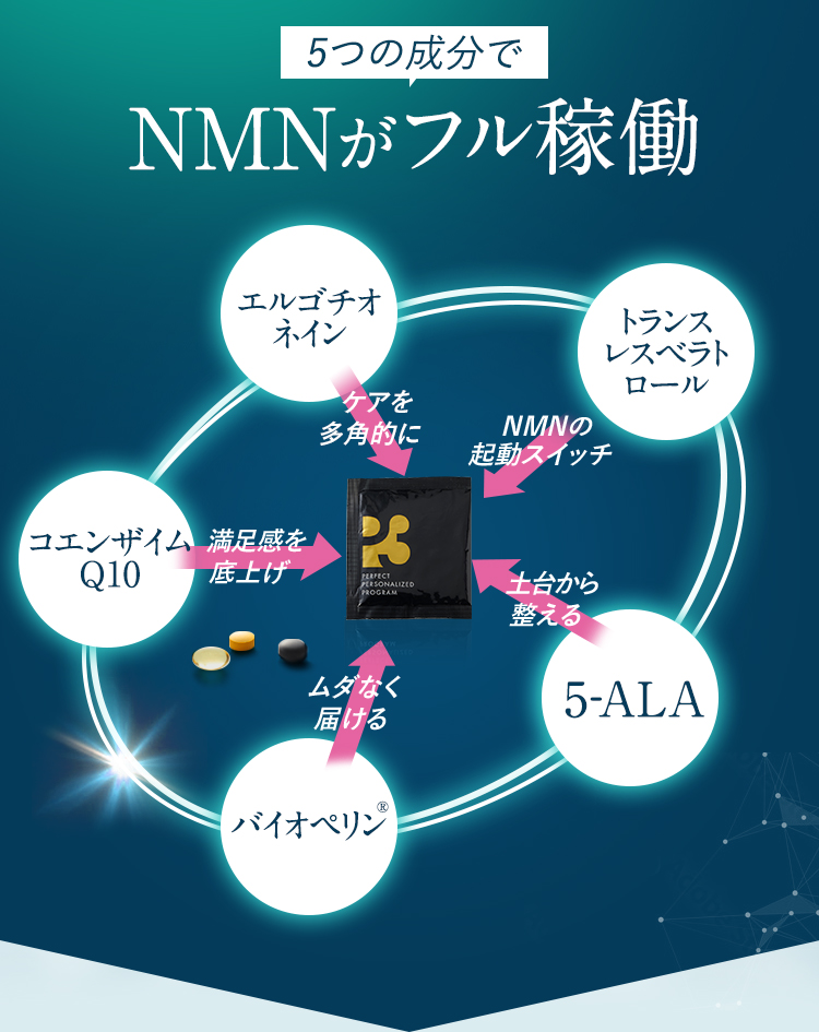 4つの成分でNMNがフル稼働 図