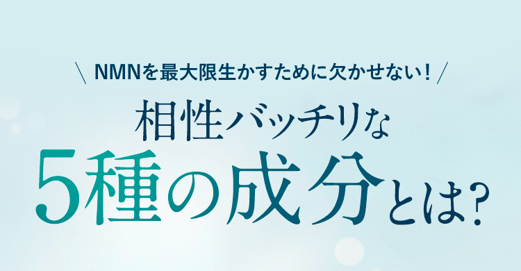 相性バッチリな4種の成分とは？